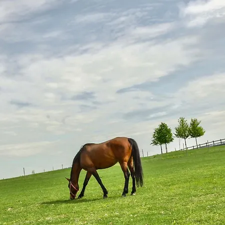 čapí Hnízdo Hotel