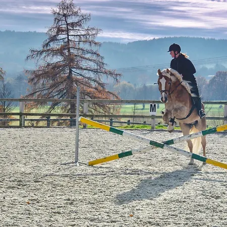 čapí Hnízdo 4* Olbramovice (Benesov)