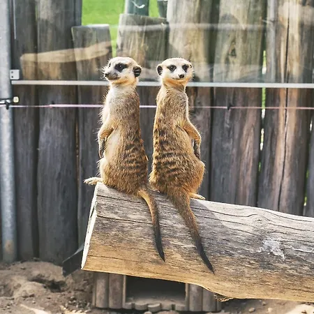 čapí Hnízdo Hotel Olbramovice (Benesov)